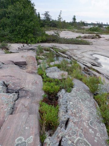 Photo from Kayaking Weekend to the Painted Rocks