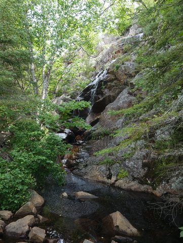 Lots of beautiful spots. Dino photo