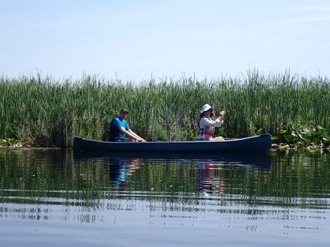 Photo from Kayaking under the June New Moon