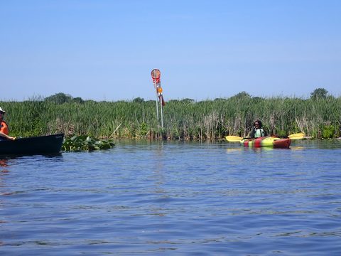 Photo from Kayaking under the June New Moon