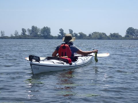 Photo from Kayaking under the June New Moon