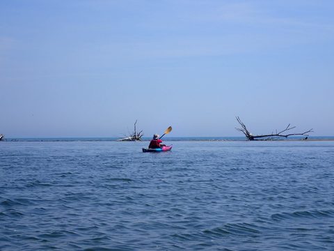 Photo from Kayaking under the June New Moon