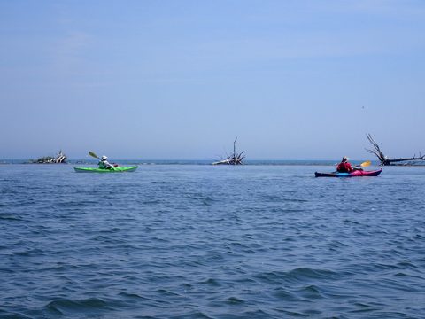 Photo from Kayaking under the June New Moon