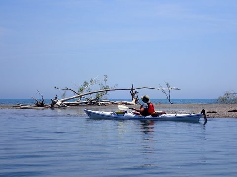 Photo from Kayaking under the June New Moon