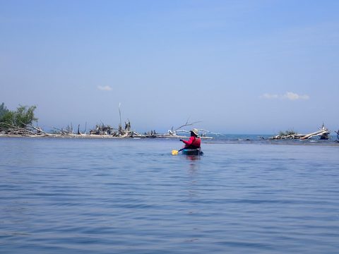 Photo from Kayaking under the June New Moon