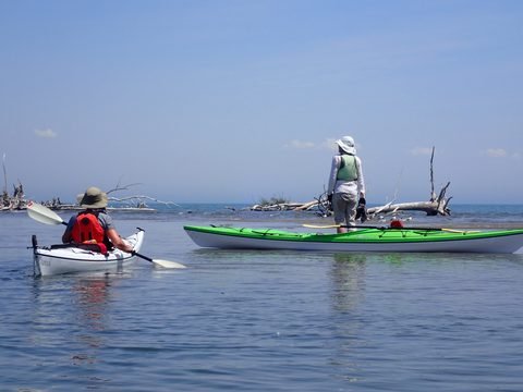 Photo from Kayaking under the June New Moon