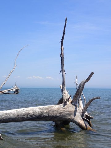 Photo from Kayaking under the June New Moon