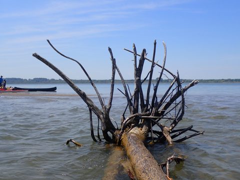 Photo from Kayaking under the June New Moon