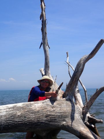 Photo from Kayaking under the June New Moon