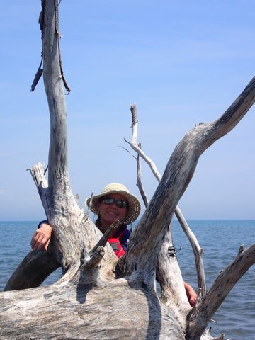 Photo from Kayaking under the June New Moon