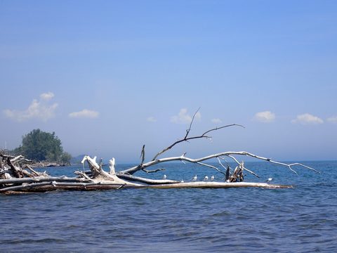 Photo from Kayaking under the June New Moon