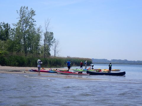 Photo from Kayaking under the June New Moon