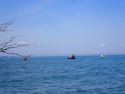 Photo from Kayaking under the June New Moon