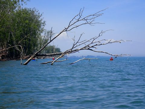 Photo from Kayaking under the June New Moon