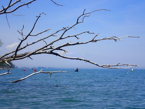 Photo from Kayaking under the June New Moon