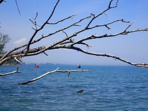 Photo from Kayaking under the June New Moon