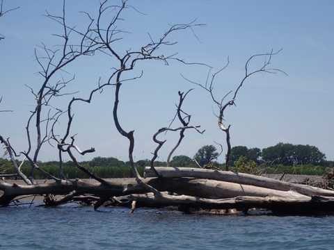 Photo from Kayaking under the June New Moon