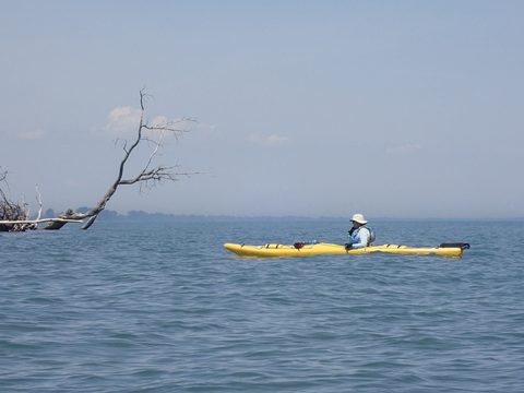 Photo from Kayaking under the June New Moon