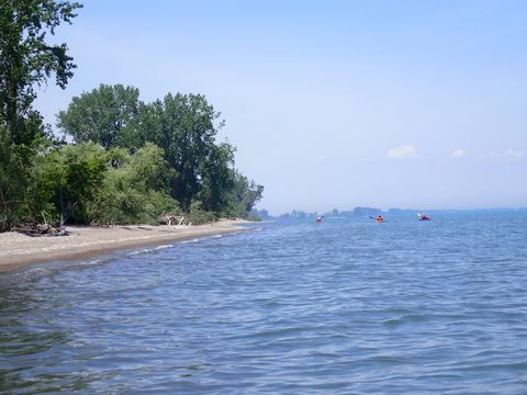Photo from Kayaking under the June New Moon