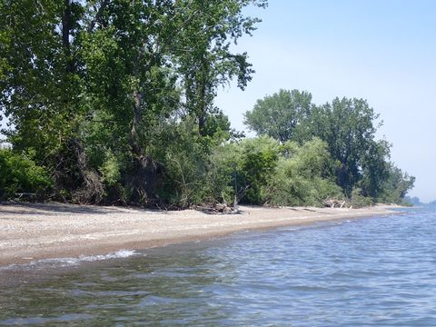 Photo from Kayaking under the June New Moon