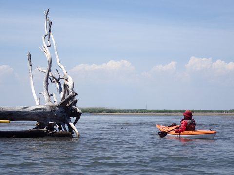 Photo from Kayaking under the June New Moon