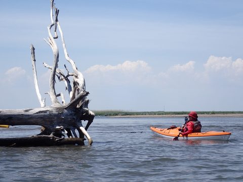 Photo from Kayaking under the June New Moon