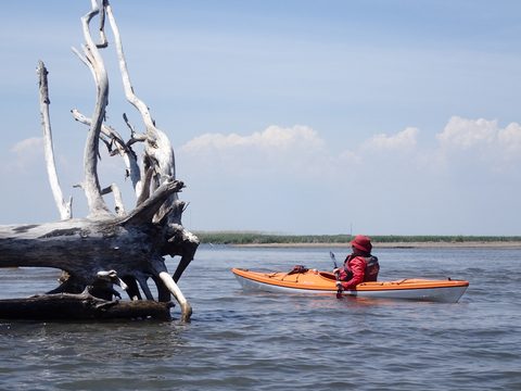 Photo from Kayaking under the June New Moon