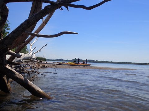 Photo from Kayaking under the June New Moon