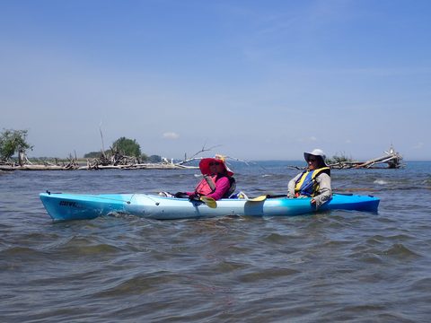 Photo from Kayaking under the June New Moon