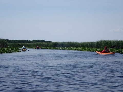 Photo from Kayaking under the June New Moon
