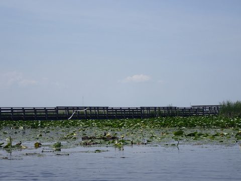 Photo from Kayaking under the June New Moon