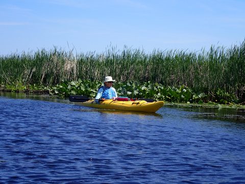 Photo from Kayaking under the June New Moon