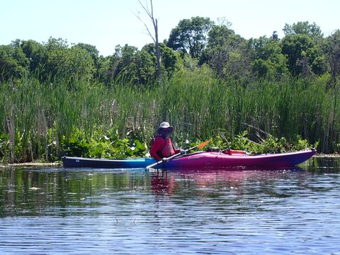 Photo from Kayaking under the June New Moon