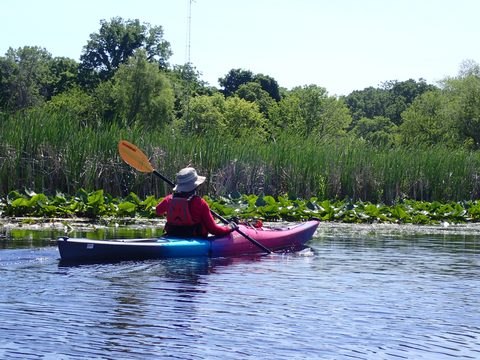 Photo from Kayaking under the June New Moon