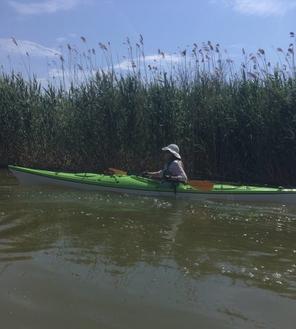 Photo from Kayaking under the June New Moon