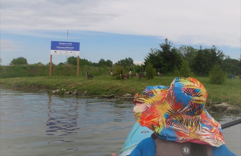Photo from Kayaking under the June New Moon