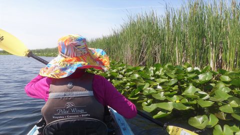 Photo from Kayaking under the June New Moon