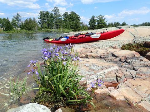 Photo from A Georgian Bay Circumspection