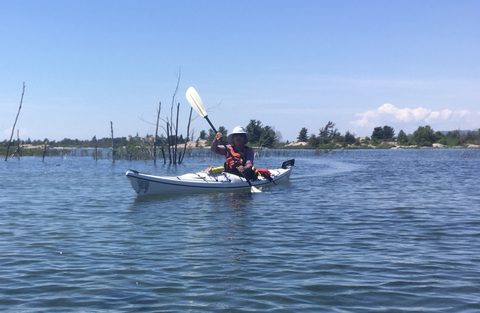 Photo from A Georgian Bay Circumspection