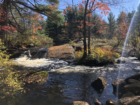 Photo from Thanksgiving on the High Falls Loop