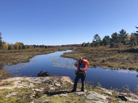 Photo from Thanksgiving on the High Falls Loop