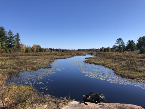 Photo from Thanksgiving on the High Falls Loop