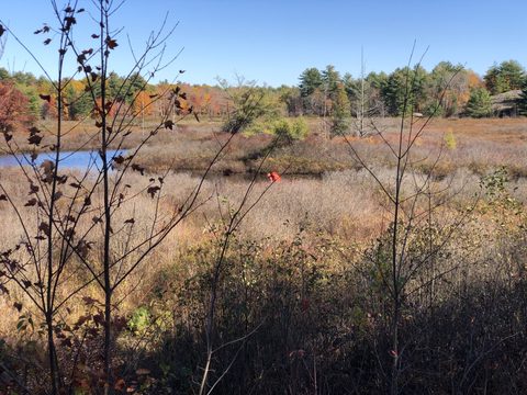 Photo from Thanksgiving on the High Falls Loop