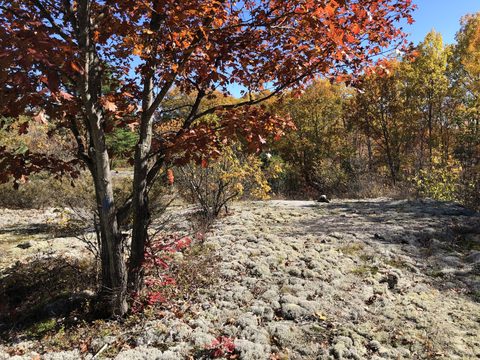 Photo from Thanksgiving on the High Falls Loop