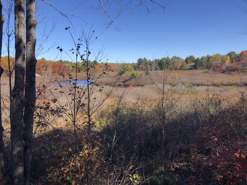 Photo from Thanksgiving on the High Falls Loop