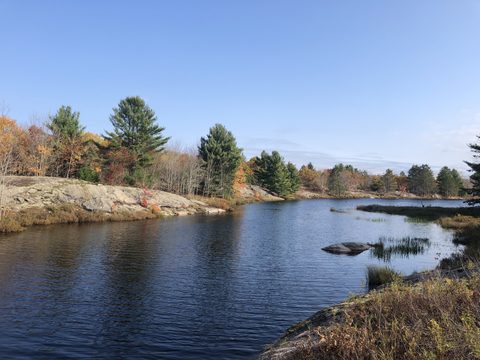 Photo from Thanksgiving on the High Falls Loop