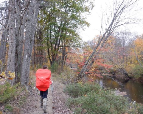 Photo from Thanksgiving on the High Falls Loop