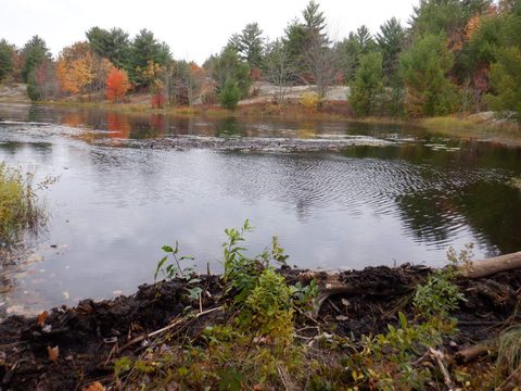 Photo from Thanksgiving on the High Falls Loop