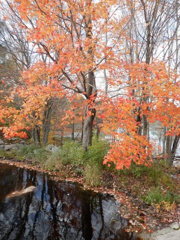 Photo from Thanksgiving on the High Falls Loop
