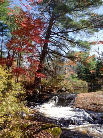 Photo from Thanksgiving on the High Falls Loop